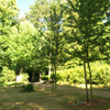 Familienbaum