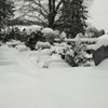 Niederfriedhof Döbeln