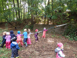 Waldtag Waldtag