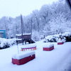 Unser Garten im Winter