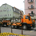 Neue Glocken für die Nicolaikirche